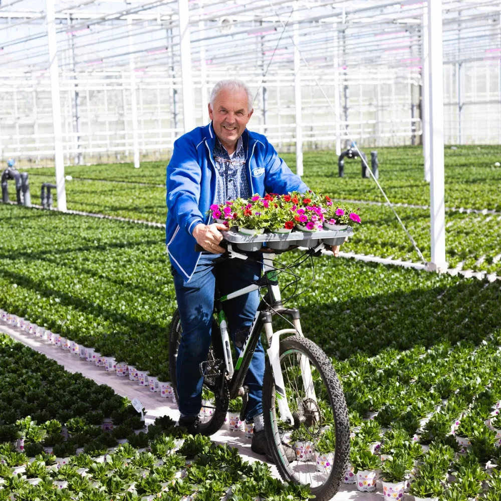 Boers Tuinbouw aanbod