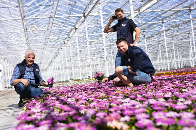 Boers Tuinbouw over ons