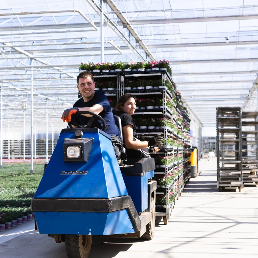 Boers Tuinbouw over ons